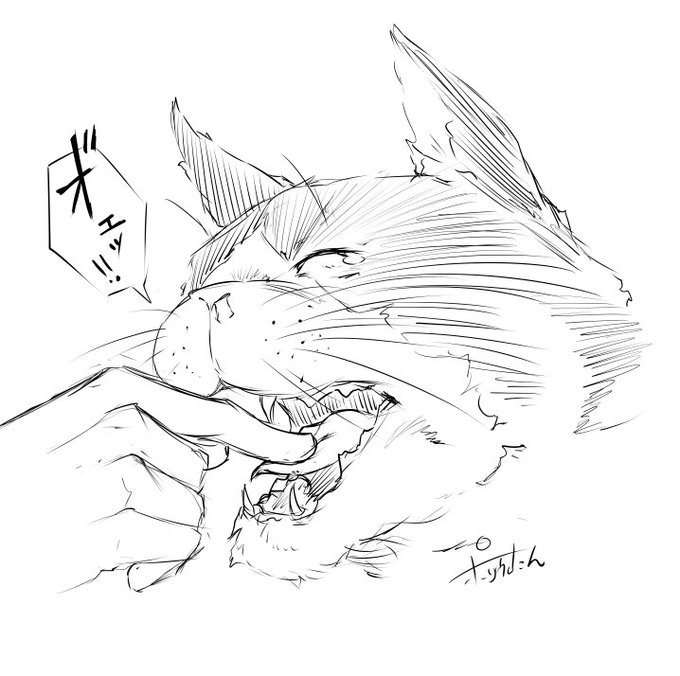 アクビしてるところみつけると必ず指を突っ込まずにはいられない
猫飼いならわかってくれるはず… 