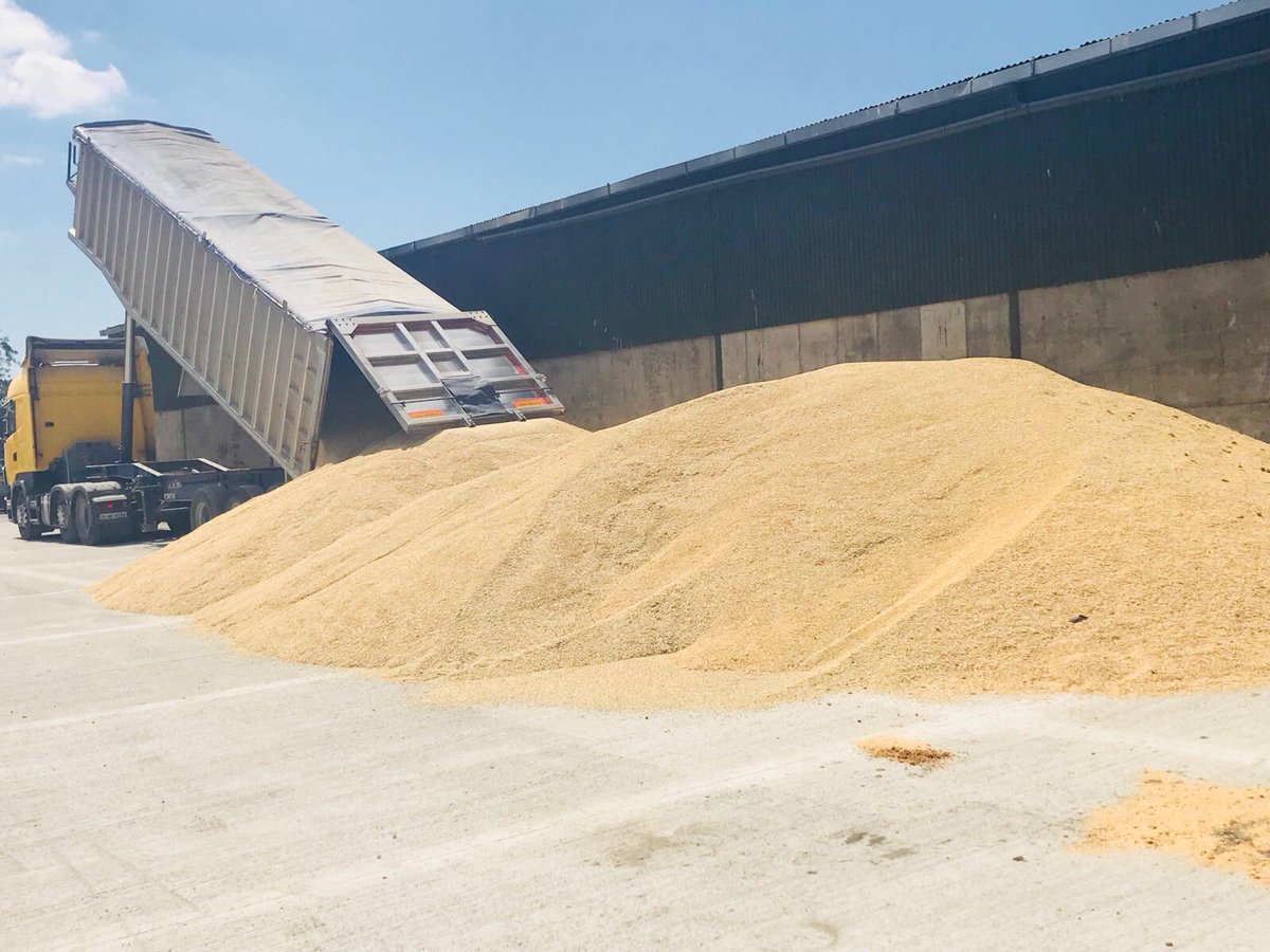 Cassia Winter Barley starting to come into Glanbia Kilberry branch today. Moisture 14.5% , Bushel 65 KPH #harvest2018