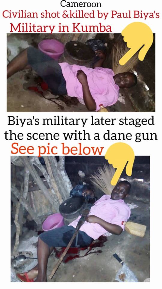 Ambazonianfree's tweet photo. Cameroon military kill innocent Southern Cameroon citizens and place guns on them as if they were fighting. What a shame. United Nation should do something to stop this killings. https://t.co/sl4DUwm0m8