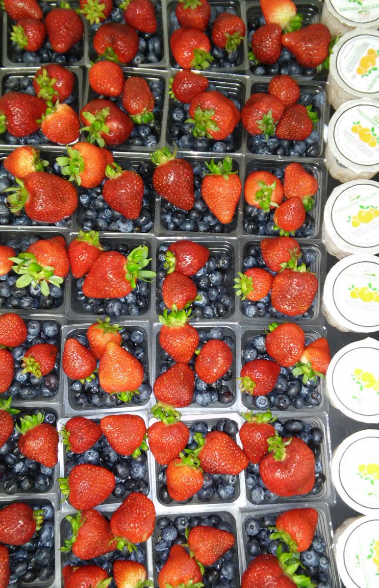 PowerUpCafe's tweet photo. Fresh #blueberries &amp; #strawberries - definitely something to cheer about! Ms. Beverly &amp; Ms. Shun, cafe managers @rennellredhawks &amp; @OwensCFISD, dish out these "berry" beautiful fruits for #schoollunch today! @Lamkin_Ele @CyFairISD #CFISDspirit https://t.co/E6RlYBMI57