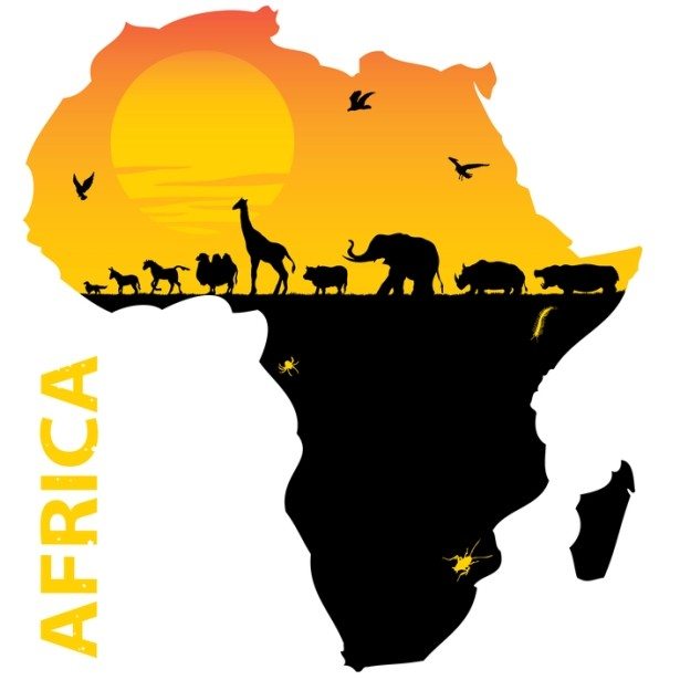 Africa_evidence's tweet photo. #EVIDENCE2018 Reflecting on #EVIDENCE2016 The AEN was praised for opportunities like the colloquium that enabled members to engage with one another, and respondents were hopeful for increased opportunities.. More on blog:https://t.co/EJuRrEQP2Z
Understand.Engage.Impact https://t.co/KsfZTOijCA