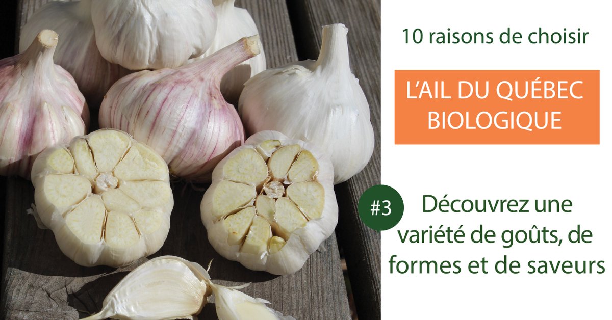 LePetitMas's tweet photo. 10 raisons de choisir l'ail du Québec biologique. Raison 3) Découvrez une variété de goûts, de formes et de couleurs. #AilduQuebec #Bio #Achatlocal https://t.co/xFeXyE6CPf https://t.co/8pICCYl1lk