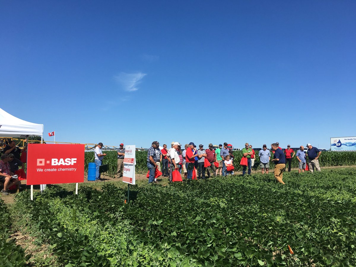 Central_ON_FS's tweet photo. BASF’s Dave Townsend and @Ken_Currah are talking to the group about multiple modes of action live and in the field at our Bringing You What’s Next In Your Field South Plot Tour today! #BYWN18 #FSPinthefield https://t.co/snP30a5ID1