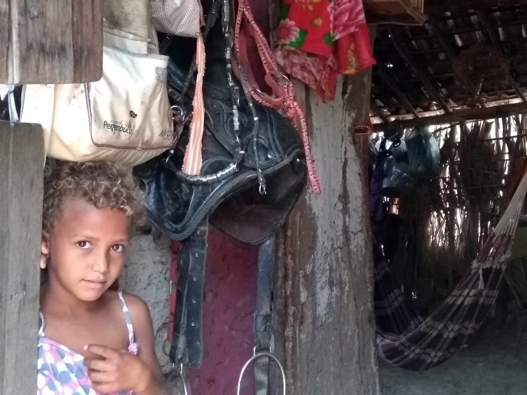 amandadias's tweet photo. galera de RECIFE, RT p espalhar pfvo! Essa comunidade em Manari (menor IDH de PE) fizeram um pedido de socorro, eles estao em uma situação mto delicada, precisando de comida, toalha, lençol, produto de higiene.. To recolhendo doação, se vcs puderem doar >qlqr coisa<, falem cmg! https://t.co/taXWiMXI5x