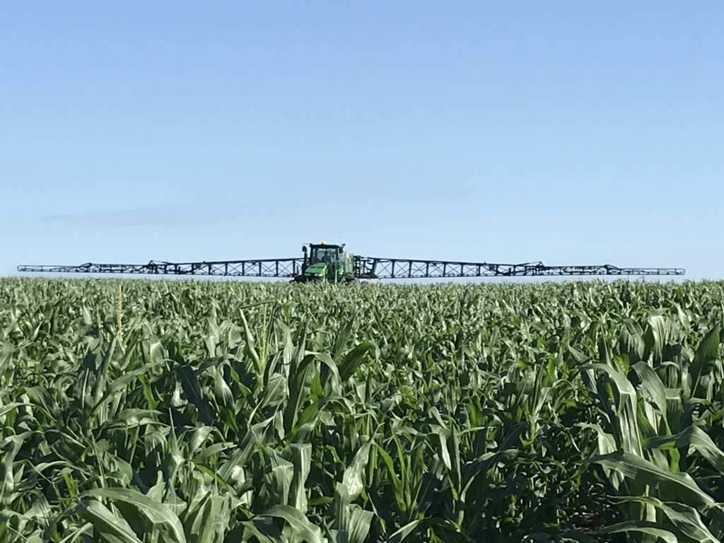 RoncerayDan's tweet photo. #P7005 #earlycorn #spray18 #bigbushels #priaxor @pioneerwcanada @basfagsolutions https://t.co/EDJHqbdSQv