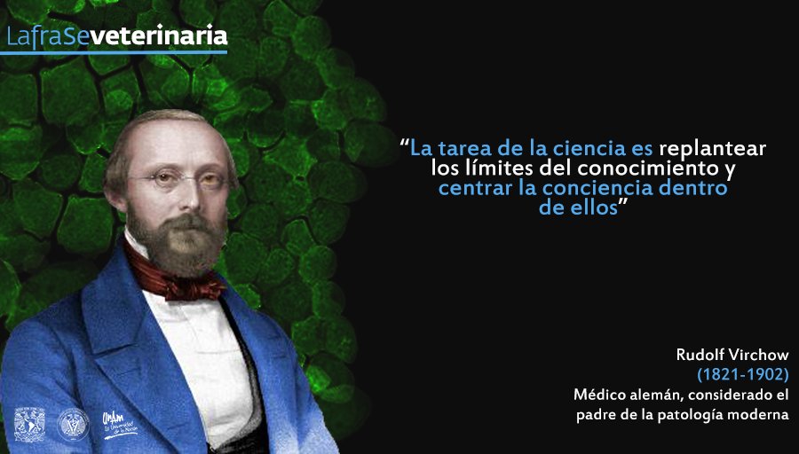 Actualizar 65+ imagen padre de la