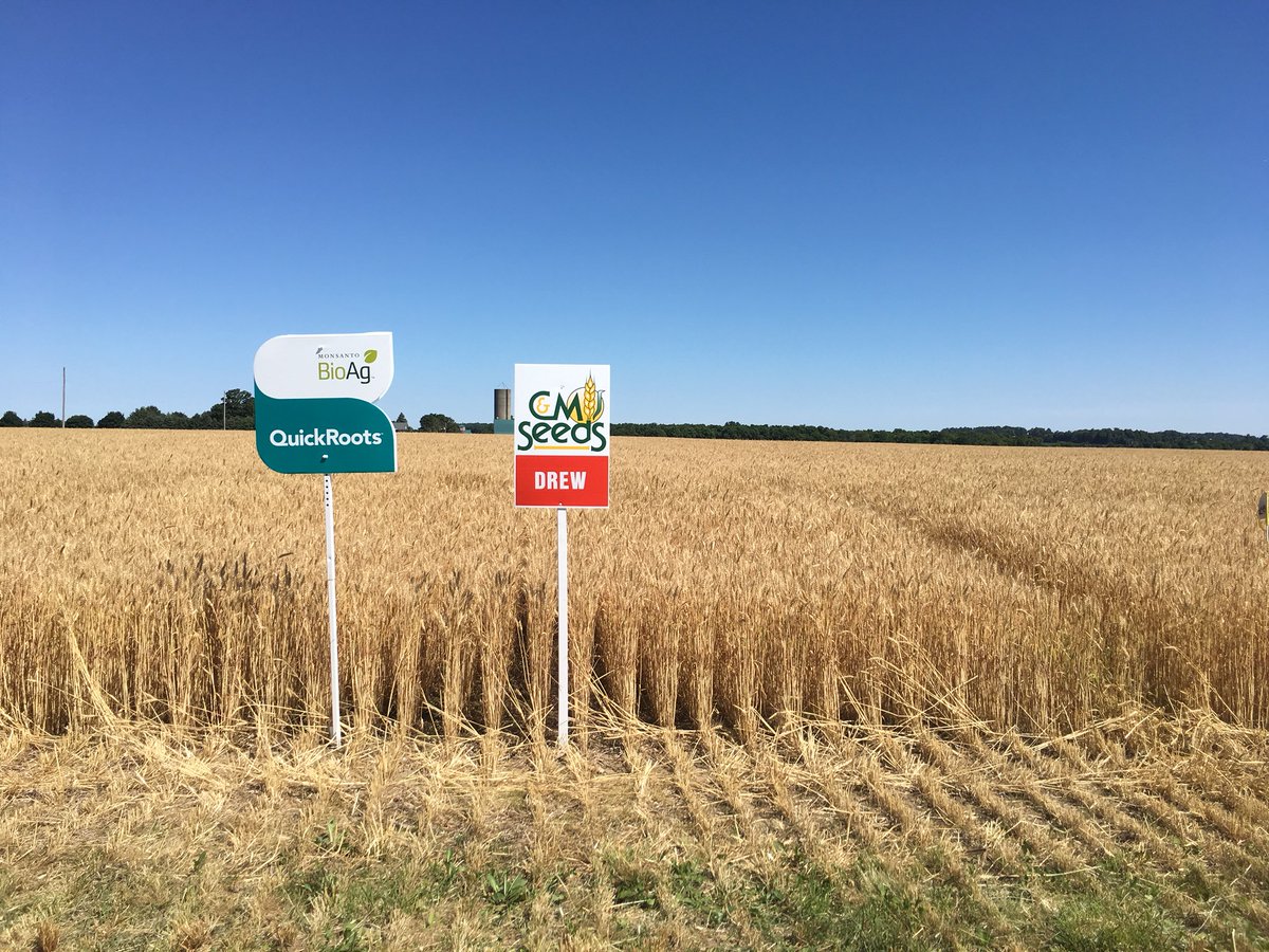 Central_ON_FS's tweet photo. Koch Industries’ Timothy Laatsch is bringing some real life experience to his talk about N loss, and ways to prevent it in your field. #4Rs #FSPinthefield #BYWN18 https://t.co/Rkpctcfw9Q