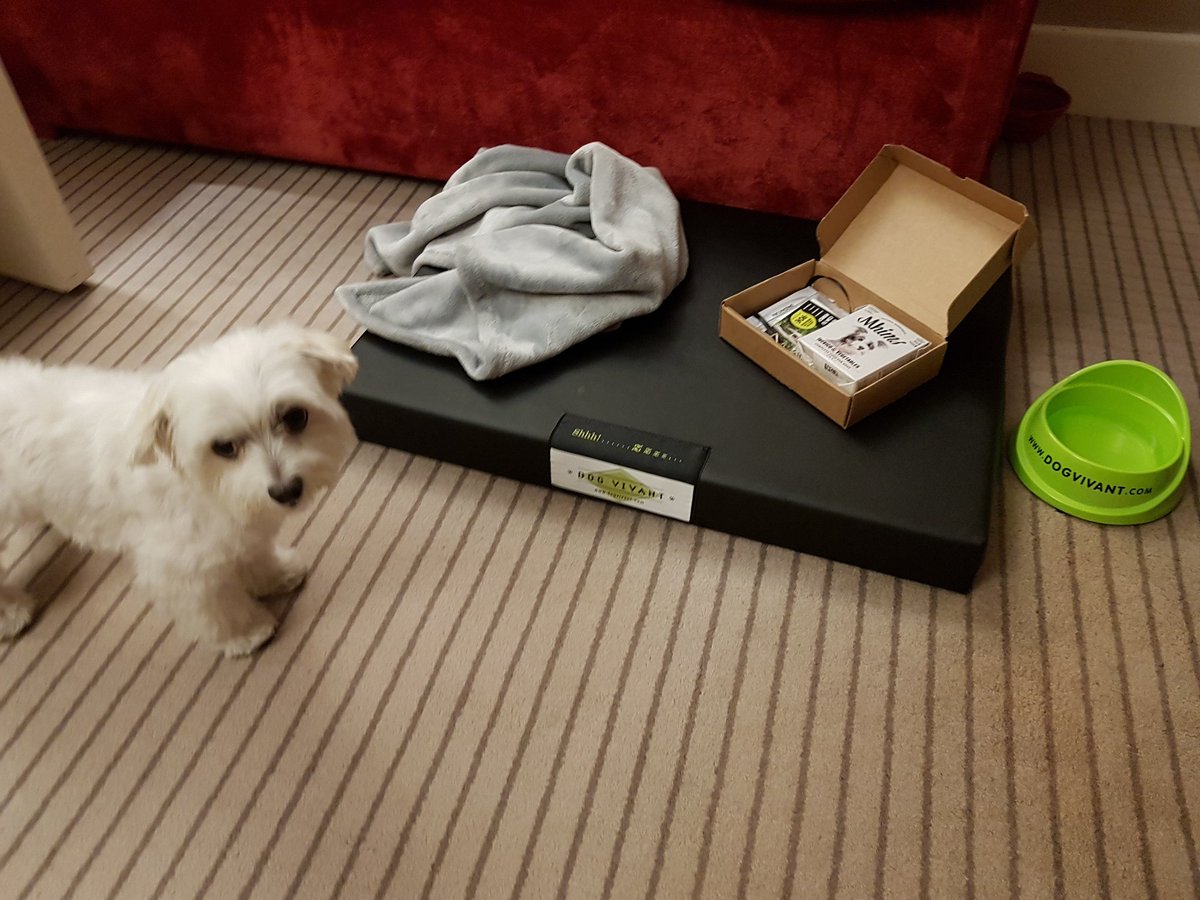 _JesusOlmedo's tweet photo. Como en casa...
bienvenidogs@euskadi.com
#DogVivant #dogfriendly #BienvenidogsaEuskadi #Euskadi #bienvenidogs #doggyetorri #dogspitality #chienvenue #euskadiconperro #fiestaperruna #dogparty
@DptoTurComCon @a_retortillo
@i_Euskadi
@visiteuskadi
@dogvivant @ErcillaHoteles https://t.co/YCgSk3f9B1