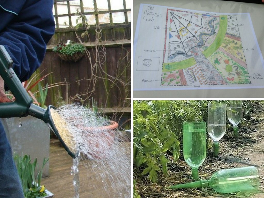 How to water your #schoolgarden the right way in this hot weather! + more #gardenintips from @cmcollins_hort in his latest blog!
bit.ly/2J8Yjek
#schools #summer #HeatWave2018