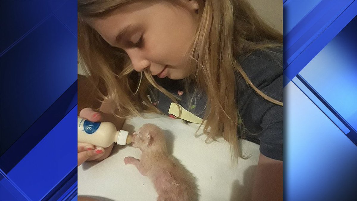 Girl killed after she was electrocuted reaching behind her family's clothes dryer bit.ly/2zrZaHh?utm_so… https://t.co/8vuNLE6mhN