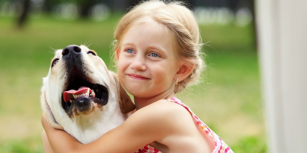 Dierenbescherming tweet media
