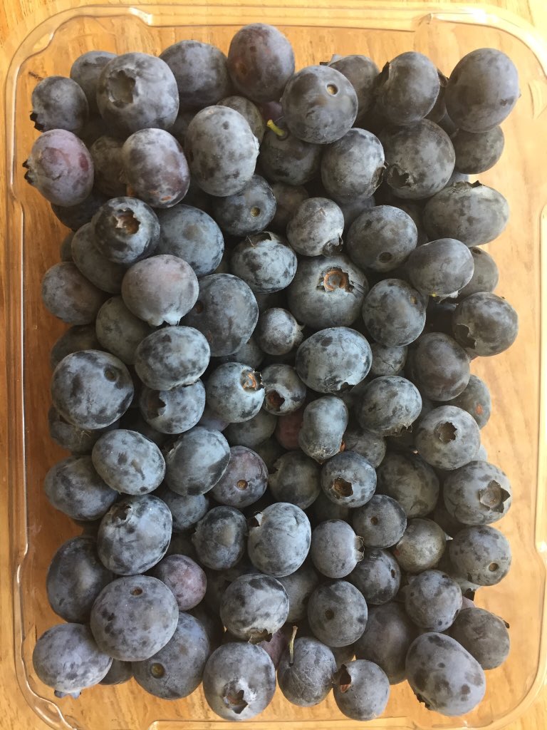 Edible Ventura Cnty (@ediblevc) on Twitter photo One of our favorite summertime activities!#PickBlueberriesDay. Pictured is our haul from <a href="/UnderwoodFarms/">UnderwoodFamilyFarms</a> earlier this season. One of our favorite summertime activities!#PickBlueberriesDay. Pictured is our haul from <a href="/UnderwoodFarms/">UnderwoodFamilyFarms</a> earlier this season.