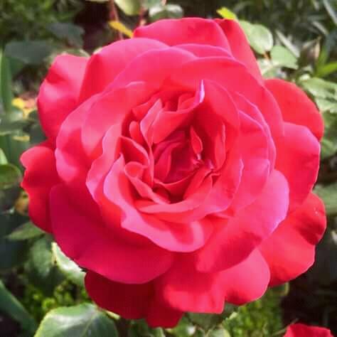 mrraa02's tweet photo. https://t.co/eKvGSs75SM