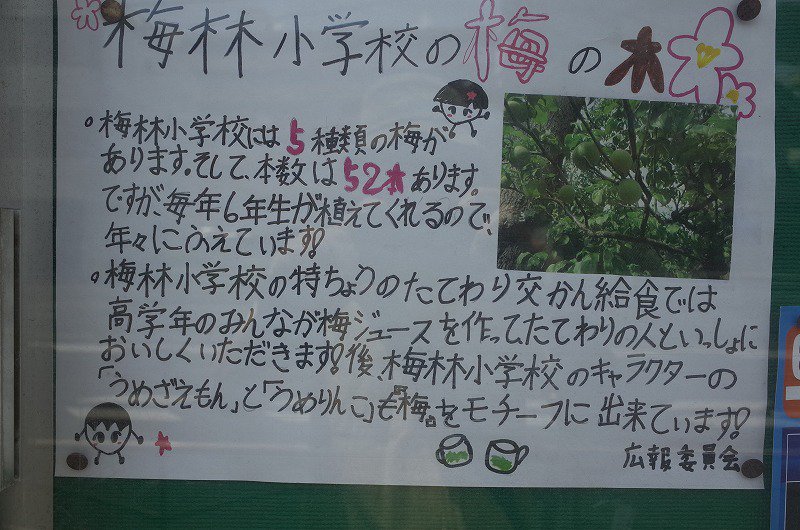 梅林小学校