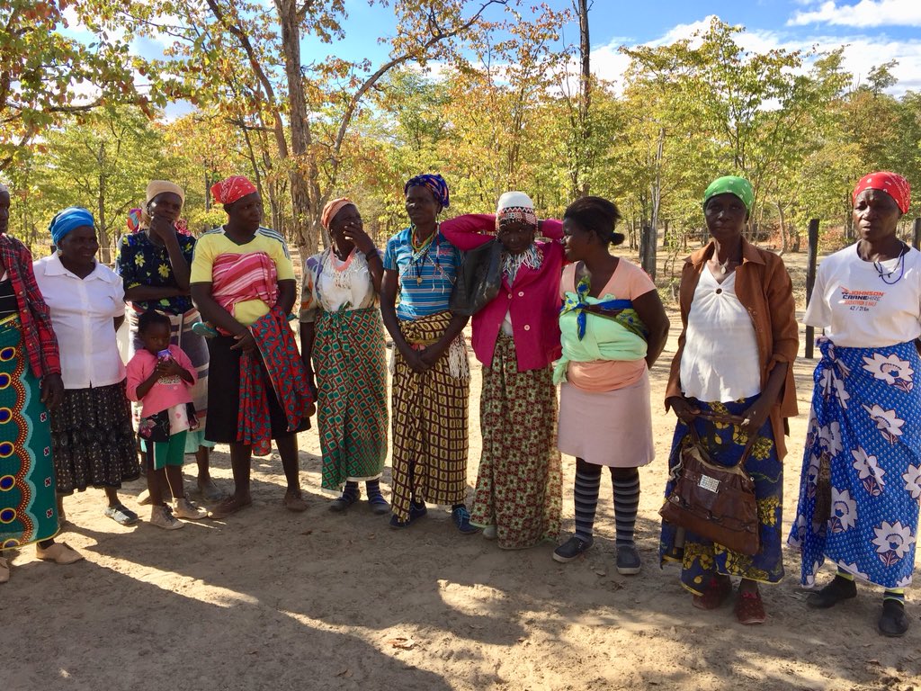 BishowParajuli's tweet photo. Pleased to visit @WFP Zim supported activities in helping improve food security among poor & most vulnerable households in #Lupani with various efforts: 15 assets build included weir dams, nutrition garden & cattle dipping facilities. https://t.co/Ca7PgkFgsw