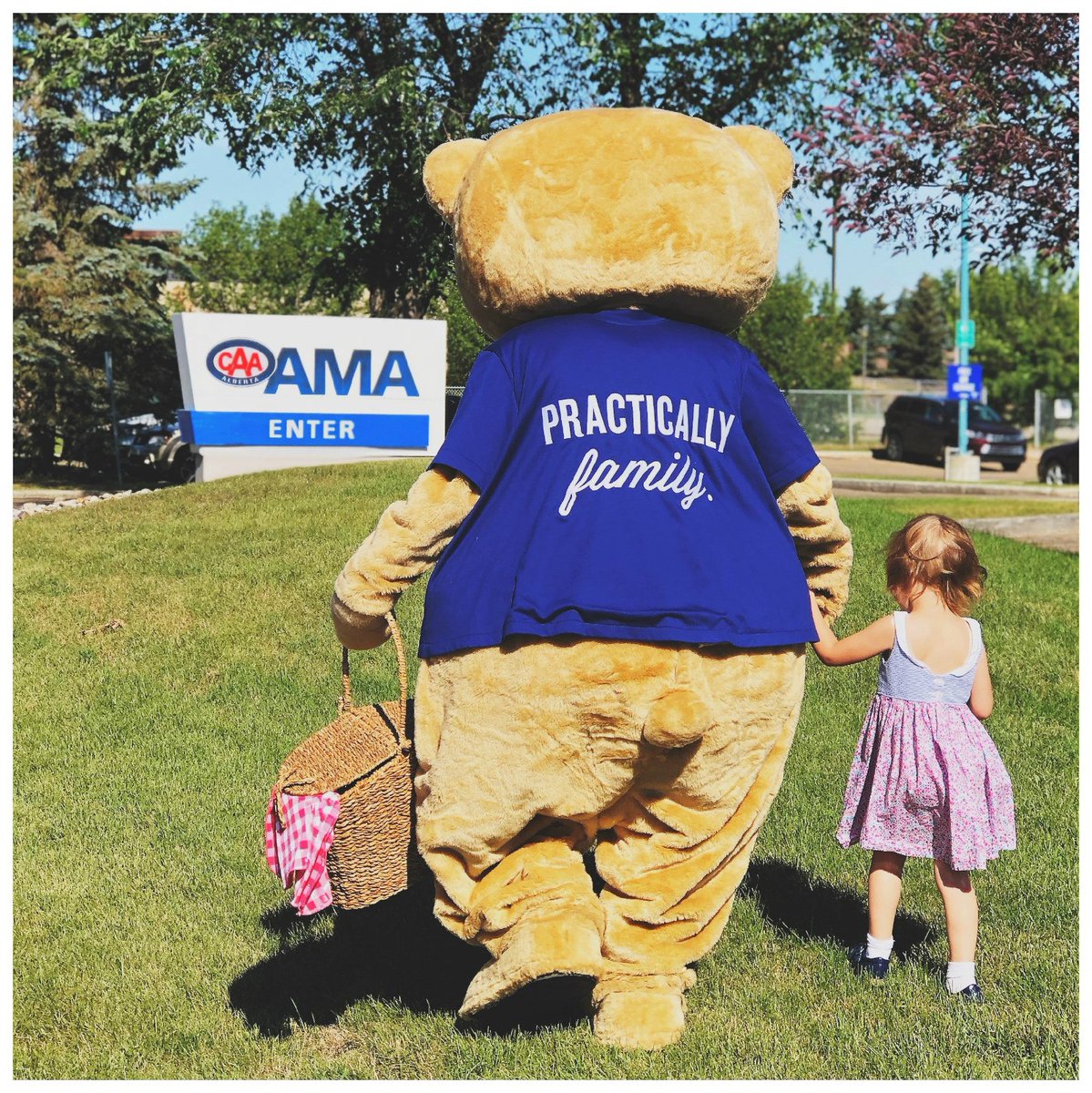AMAcommunity's tweet photo. Teddy Bear Picnic Day is pretty much like Christmas for our Teddy. We hope you get the chance to treat your cuddly best friend to a special meal with their favourite person today.
#TeddyBearPicnicDay #PracticallyFamily https://t.co/1RcMaffXbY