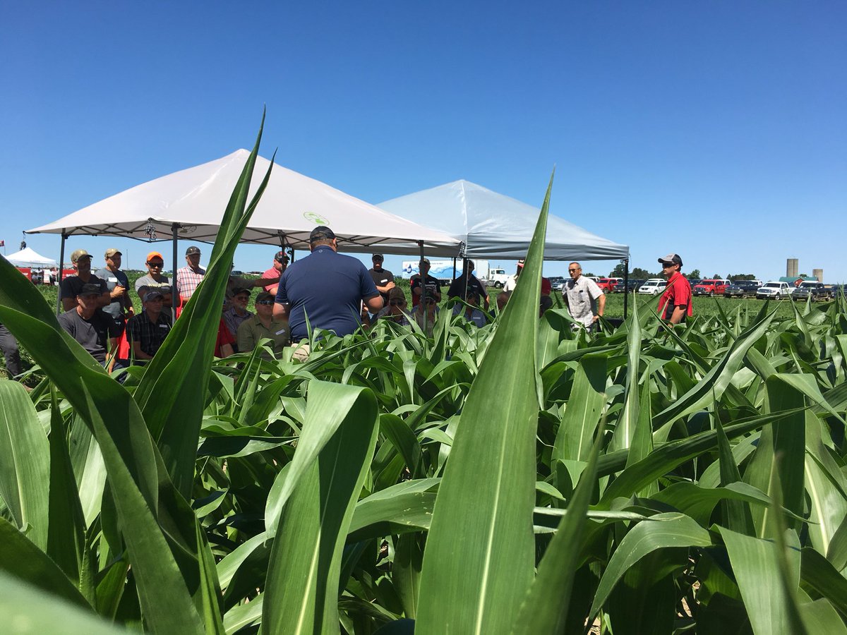 Central_ON_FS's tweet photo. from Monsanto is talking to the group about the Western Bean Cutworm life cycle, where he’s finding them in scouting and the best ways to get ahead of this pest.#FSPinthefield #BYWN18 https://t.co/fJGpyOcqBc