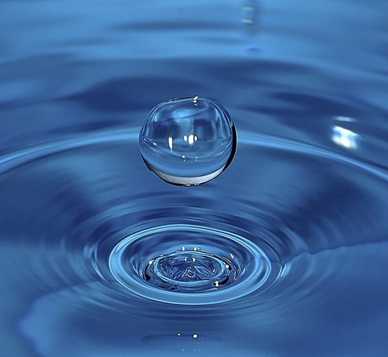 EarthWater tweet media