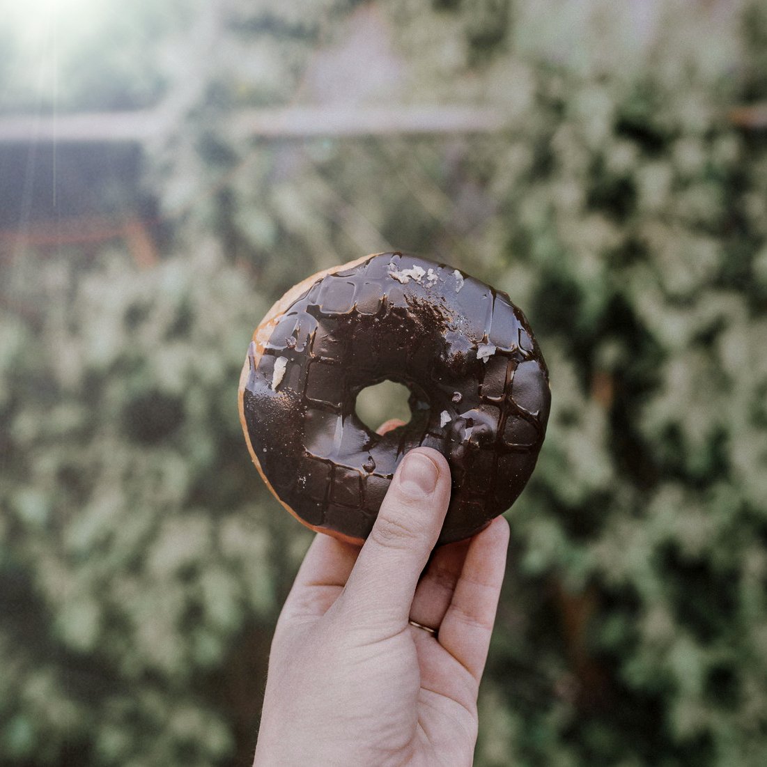Tutti meritano un dolcetto morbido e zuccherato ogni tanto e, in questo, i bomboloni sono imbattibili! 🍩 Facili da preparare grazie al gancio impastatore fornito con il robot da cucina 😊#ispirazione #bakey #donuts #fornaio