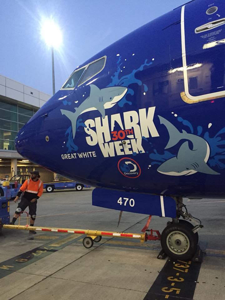 Heads up, fins up to @FlySFO, the Great White Shark (N470WN) is scheduled to visit you today!

Share your photos with #SharksTakeFlight and track the aircraft here: swa.is/sharktracker