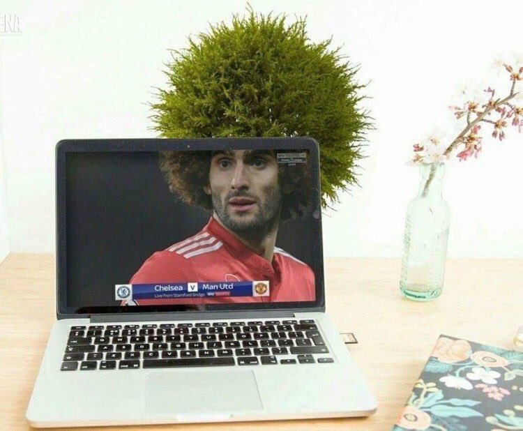 PicturesFoIder's tweet image. 