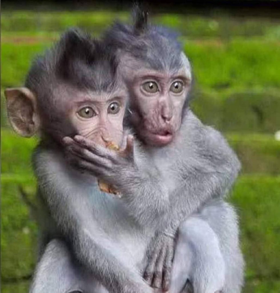 QuteJR's tweet photo. @mutebilx_qato Scenes 😂😂😂😂😂😂😂 #QuizNightUG https://t.co/vm0TJ3M53o