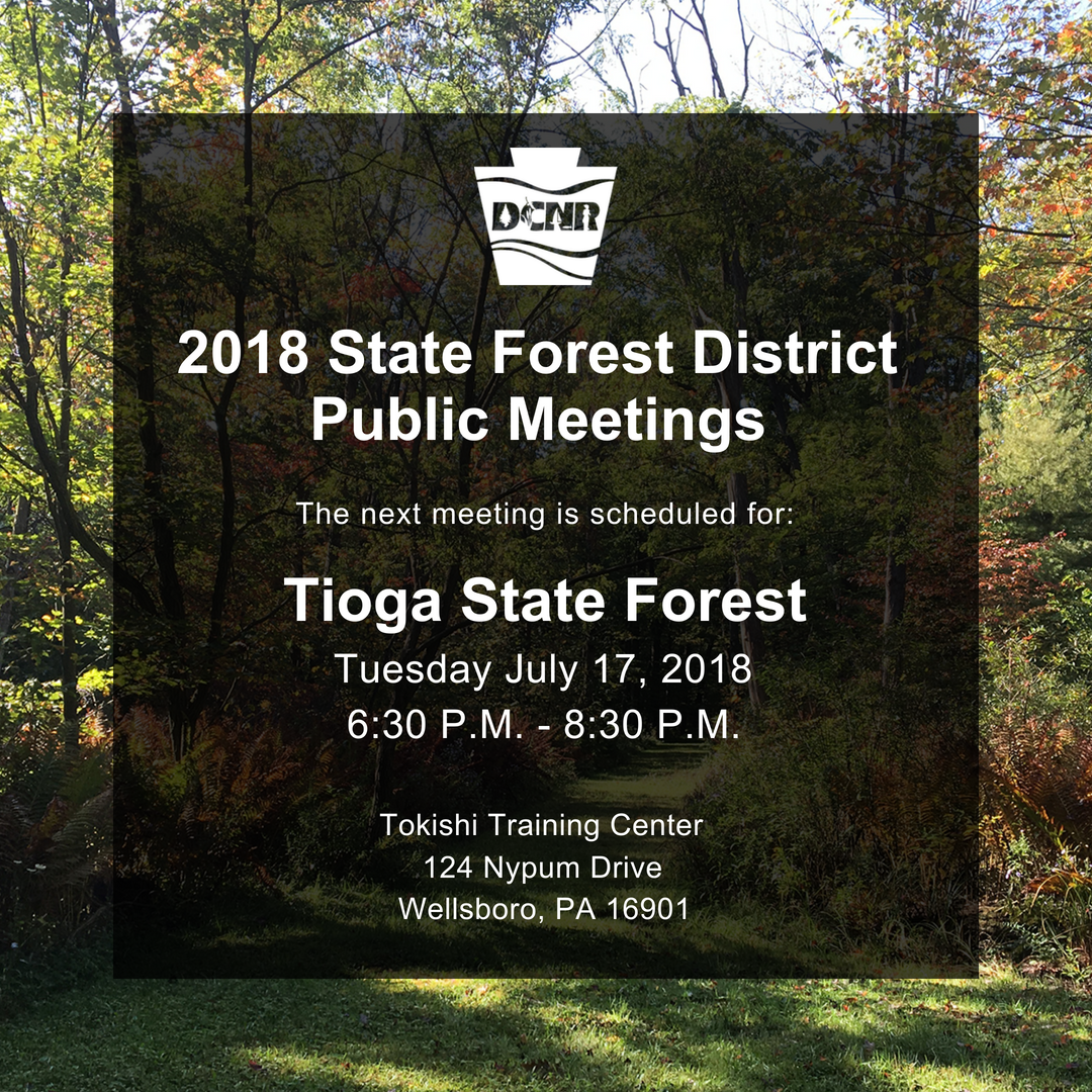 DCNRnews's tweet photo. The next forest district public meeting is scheduled for #TiogaStateForest on July 17. This meeting is part of a PA series focusing on forest districts’ management plans & giving the public the opportunity to provide feedback. Learn more → https://t.co/xdwNUg8S8W #PAStateForests https://t.co/7iTHY9zJu4