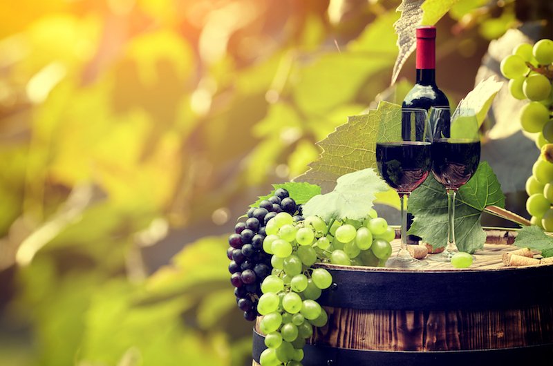 CarpeTravel's tweet photo. 10 Best U.S. Cities for #Wine Lovers https://t.co/EaEv8IlHM4
#travel https://t.co/RujqdDrgZi