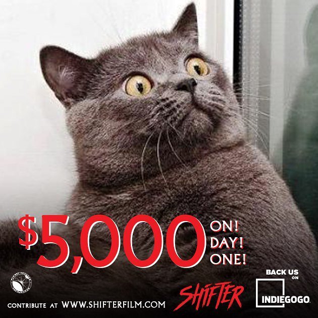 ShifterMovie's tweet photo. WHOA. Over $5000 on DAY ONE of our IndieGoGo campaign!?!!? Thank you so much!
Letβs keep this #pieceofshift going! How quick can we get to $6k?! Contribute at https://t.co/aXWXLpgFRh
#shifthappens #shifterfilm #planetthunder https://t.co/ihE5C8IjAp https://t.co/dnHu6btf1h