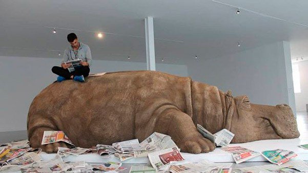 ¿Qué tienen en común un hipopótamo, el performance, y la corrupción?
Descubrelo en la nueva exposición del museo de arte carrillo Gil, Hope Hippo twer.tv/2018/07/10/hop…