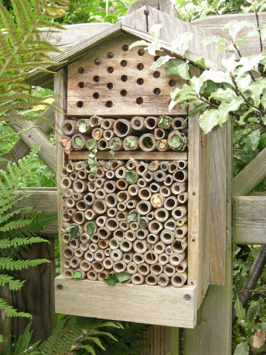 Basildon NatHisSoc tweet media