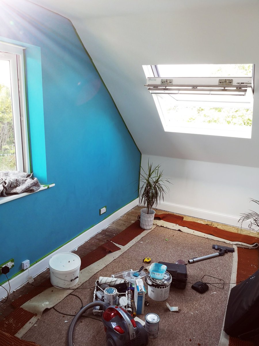 Tom Freyberg 🌊 tweet media