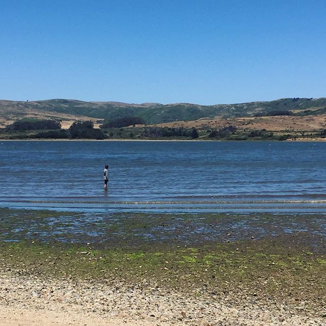 localdialect's tweet photo. My baby heading out to swim in Tomales bay 🐳 https://t.co/44ZeLk4OWB https://t.co/JzlFZuOLme