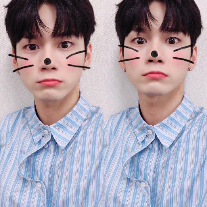 too cute to handle tweet media