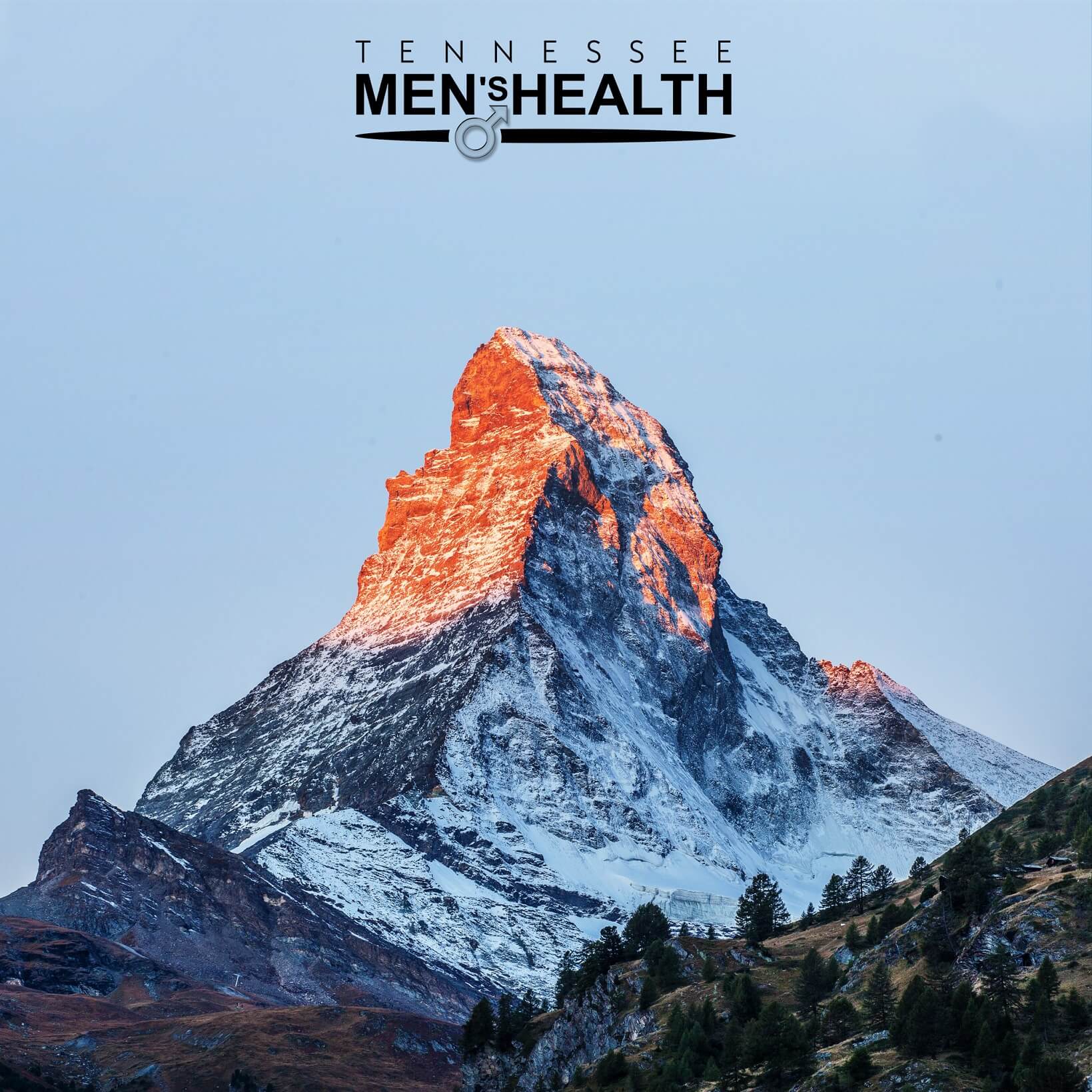TN Men's Health on Twitter "Tennessee Men's Health's EDsolution