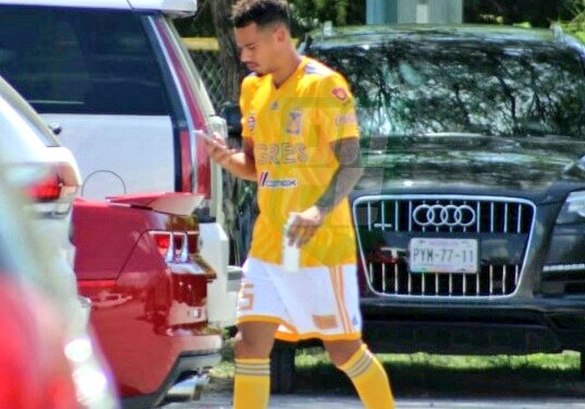 SomosRayados's tweet photo. Antes de que salgan con "en tu cancha y con tu gente" porque aquí estoy hablando de uniformes, la neta si los de Rayados estaban "regular-feos", a los Tigres se les están pasando de lanza, el de local y visita están espeluznantes. 😂

#TeamNapolitano #TeamBonIce https://t.co/if3WvWPLaO