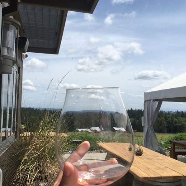 Grab a glass &amp; enjoy the view… #HawksViewWinery