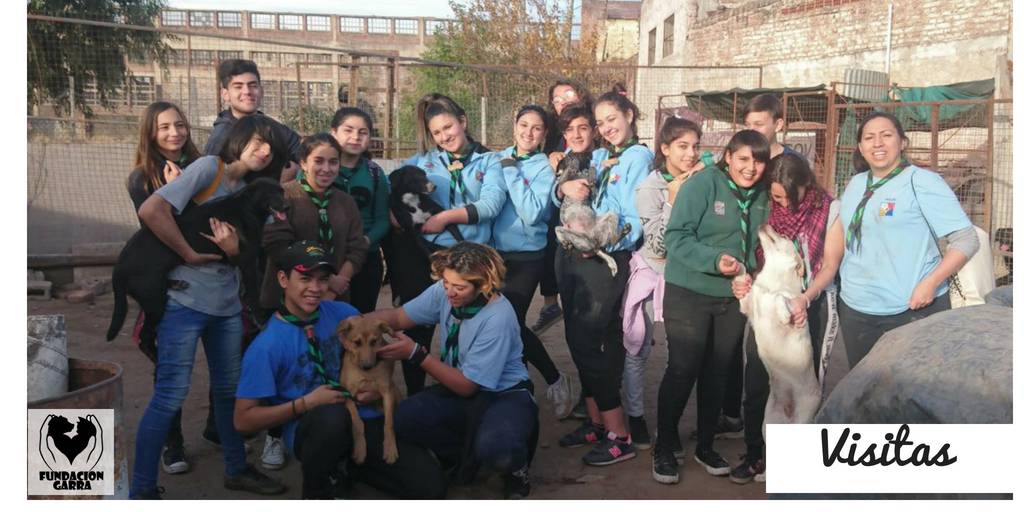 FundacionGarra's tweet photo. 🐾¡Jornadas recreativas! 🐾
Agradecemos la visita del Grupo Scout Tomás Echeverría. ¡Felices de compartir estas jornadas! 🤠🐾💚
#FundacionGarra #Educacion #Scout #TenenciaReponsable #Mascotas #Visitas https://t.co/zp9vLIZObl