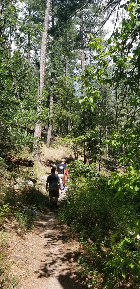 pcc_diversity's tweet photo. Some pics from yesterday trip to Mt. Lemmon https://t.co/NXUsfgOEpP
