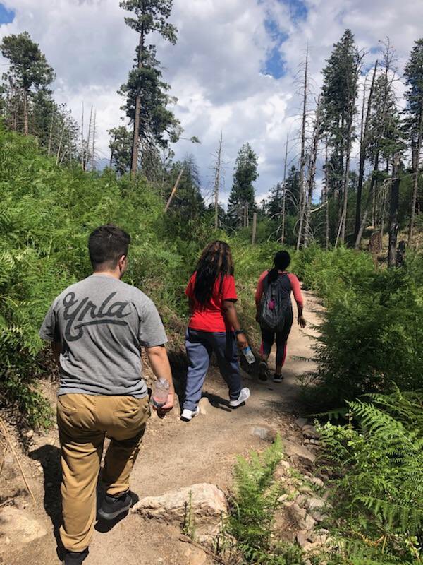 pcc_diversity's tweet photo. Some pics from yesterday trip to Mt. Lemmon https://t.co/NXUsfgOEpP