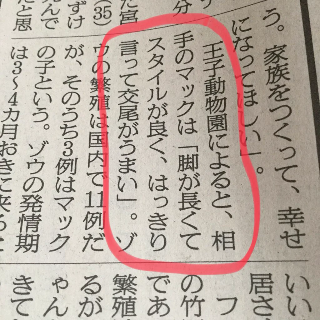 はっきり言いすぎｗ神戸市王子動物園の雄象「マック」は交尾がうまいらしいｗｗｗ
