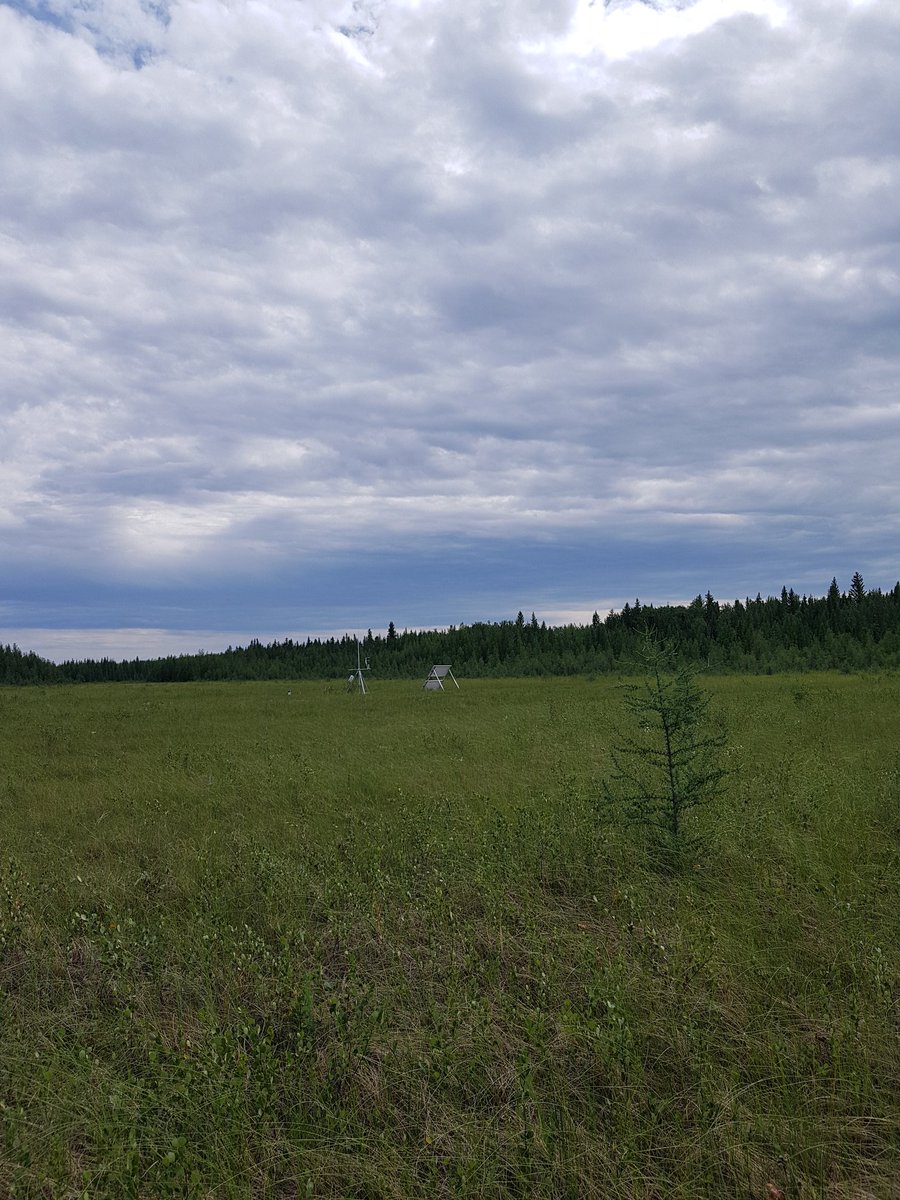 Had a great time installing EC tower at #HeavenFen with <a href="/UW_Hydromet/">Richard Petrone</a> team and Wetlands Hydrology Group as part of our work establishing hydrologic monitoring of wetlands at the Athabaska Oil Sands Region