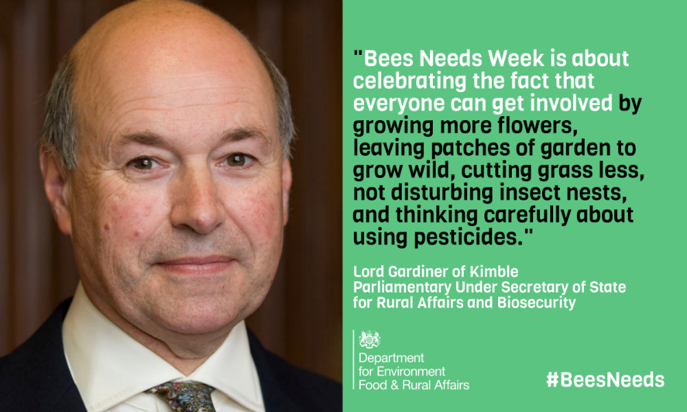 DefraGovUK's tweet photo. There are many things we can all do to help our #bees, like planting more flowers and cutting the grass less. Find out more about how you can help this #BeesNeeds Week. https://t.co/kwOxuwvcZA https://t.co/8l73Z8lz4P