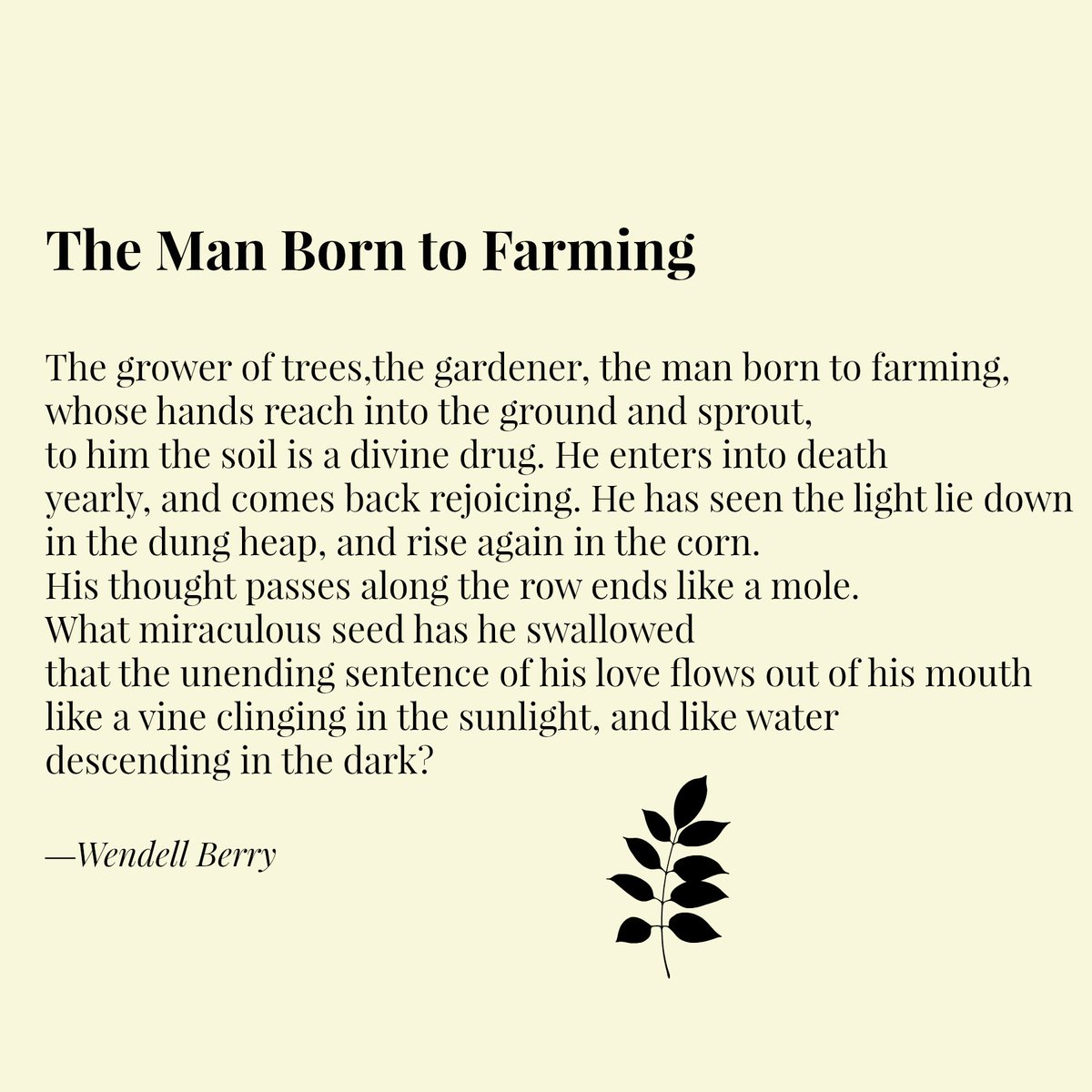 LiteraryNorth's tweet photo. Today I'm in special need of Wendell Berry's calm, wise, loving words. #poetryandpie #farmpoetry https://t.co/9ZxxjAJ7x7