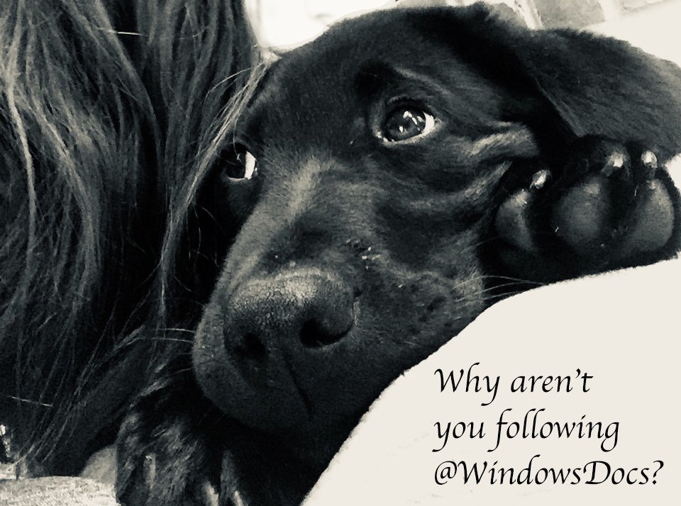 WindowsDocs's tweet image. If you get a friend to follow us, we’ll send you a sticker too (if they’re #1000).
#Windows10
#DeveloperDocs