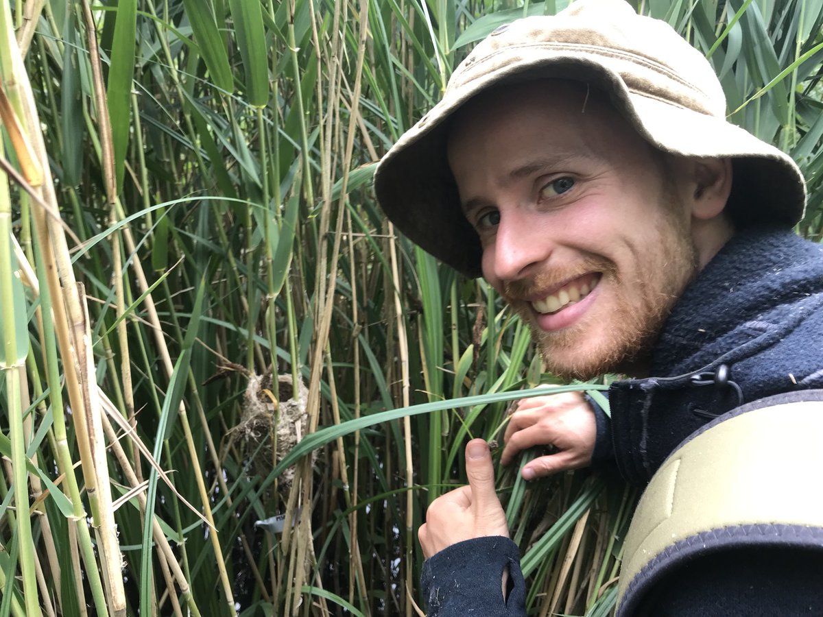 MattMarsh89's tweet photo. Found my 100th nest at Cranwich today! Had to get a pic. Along with five others, it made for another successful day of fieldwork with @WelshLassy1989. @rock_nester #BTO #BTOresearch #ornithology https://t.co/rK4IimjUpf