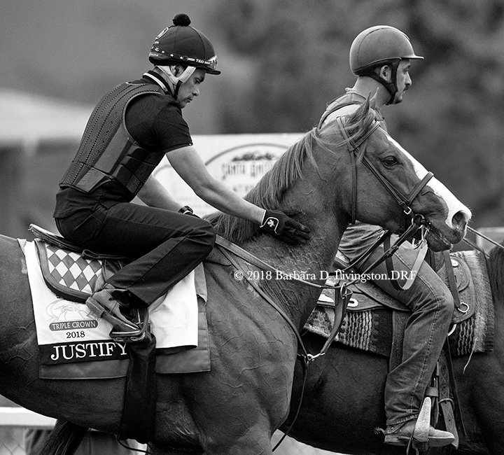 DRFLivingston's tweet image. Humberto Gomez pats JUSTIFY leaving the track the last morning I saw them train, 7/2.

JUSTIFY has filling in an ankle, per a release, and his future career is being evaluated.

Whatever happens, JUSTIFY is sure a gorgeous, undefeated Triple Crown winner.  Think of those words.