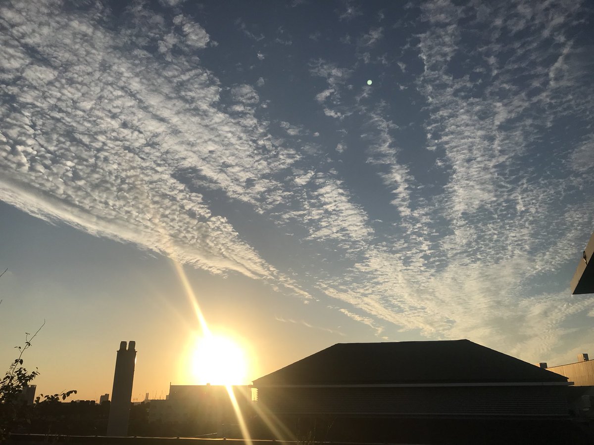 DEBraybrook's tweet photo. As the sun sets on a very successful 2018 #csiLecture, I look forward to sharing a few reflections on the event tomorrow. Thanks for making it happen @CSI_KCL! #Cicely100 https://t.co/SUU6fSxdC8