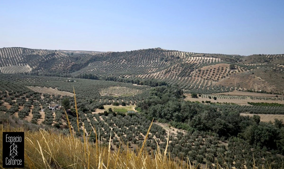 También de tierras cordobesas es esta mejora y modernización de regadío. Aquí os dejamos algunas imágenes de esta ejecución realizada por Espacio Catorce: