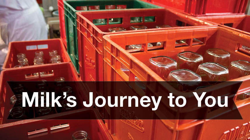 BCMilk's tweet image. Wondering how milk goes from the dairy farm to grocery stores? We explain the process here: ow.ly/bjr830kThAL #BCMilk